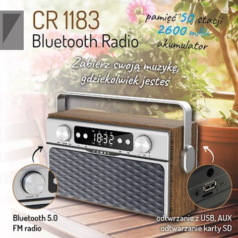 CR 1183 Radio z bluetooth CR 1183 Radio z bluetooth