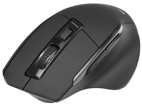 Mysz TRACER Cozy RF 2,4 GHz Mysz TRACER Cozy RF 2,4 GHz