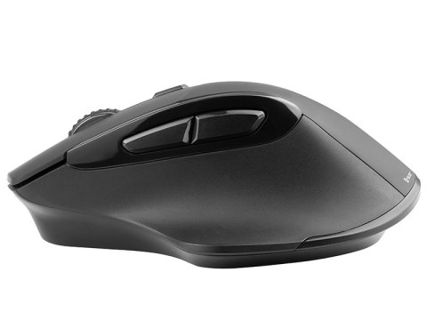 Mysz TRACER Cozy RF 2,4 GHz Mysz TRACER Cozy RF 2,4 GHz