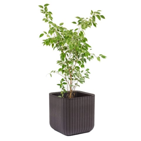 Doniczka Keter Cube Wood Planter S brązowa Doniczka Keter Cube Wood Planter S brązowa
