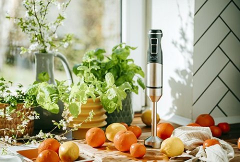 AD 4628 Blender ręczny z funkcją turbo i kruszenia lodu AD 4628 Blender ręczny z funkcją turbo i kruszenia lodu
