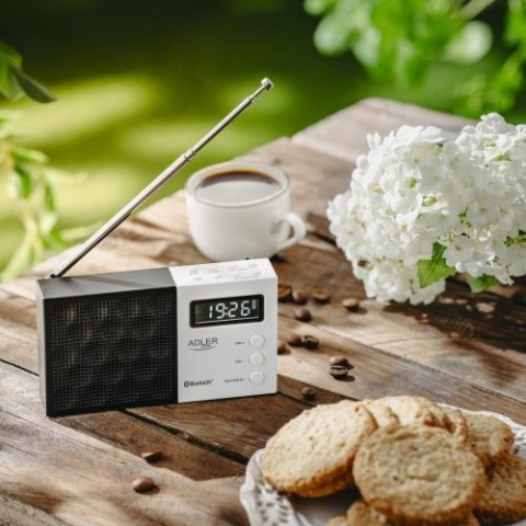 AD 1908 Radio cyfrowe pll am/fm AD 1908 Radio cyfrowe pll am/fm
