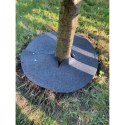 Zestaw krążków antychwastowych 6 szt. Bertoni - 60 cm, szary