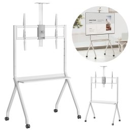 Stand / wózek do TV Maclean, półka na kamerę, na kółkach, 55-100