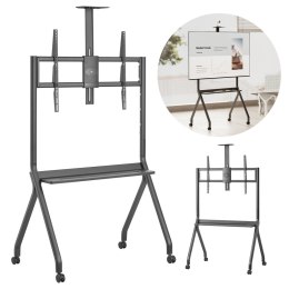 Stand / wózek do TV Maclean, półka na kamerę, na kółkach, 55-100