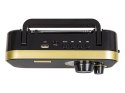 77-542# Radio przenośne analogowe am/fm blow ra12 czarno-złote