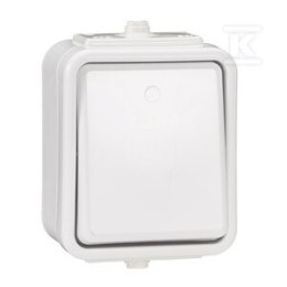 WNT-100C ŁĄCZ.1-BIEG. IP44 CEDAR BIAŁ