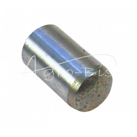 Kołek walcowy 10n6x20 DIN6325 Kołek walcowy 10n6x20 DIN6325