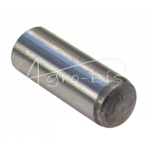 Kołek walcowy 8n6x22 DIN6325 Kołek walcowy 8n6x22 DIN6325