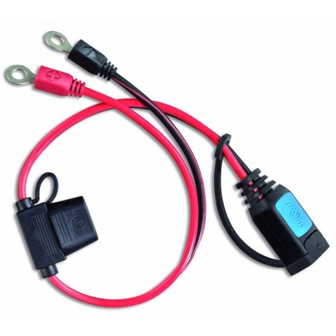 M8 eyelet connector (with 30A ATO fuse)